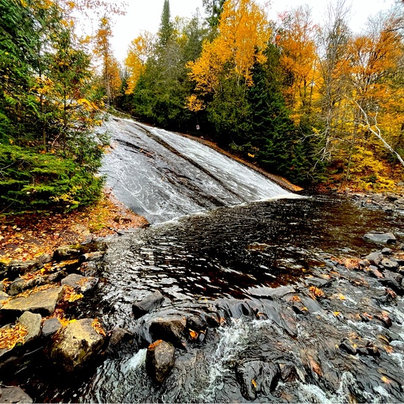 Meet your Posher, Ellen - Picture 1 of 1